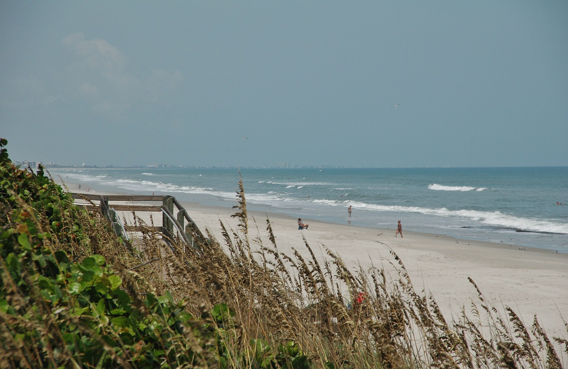 Sand and dunes at Canova Beach in Indian Harbour Beach