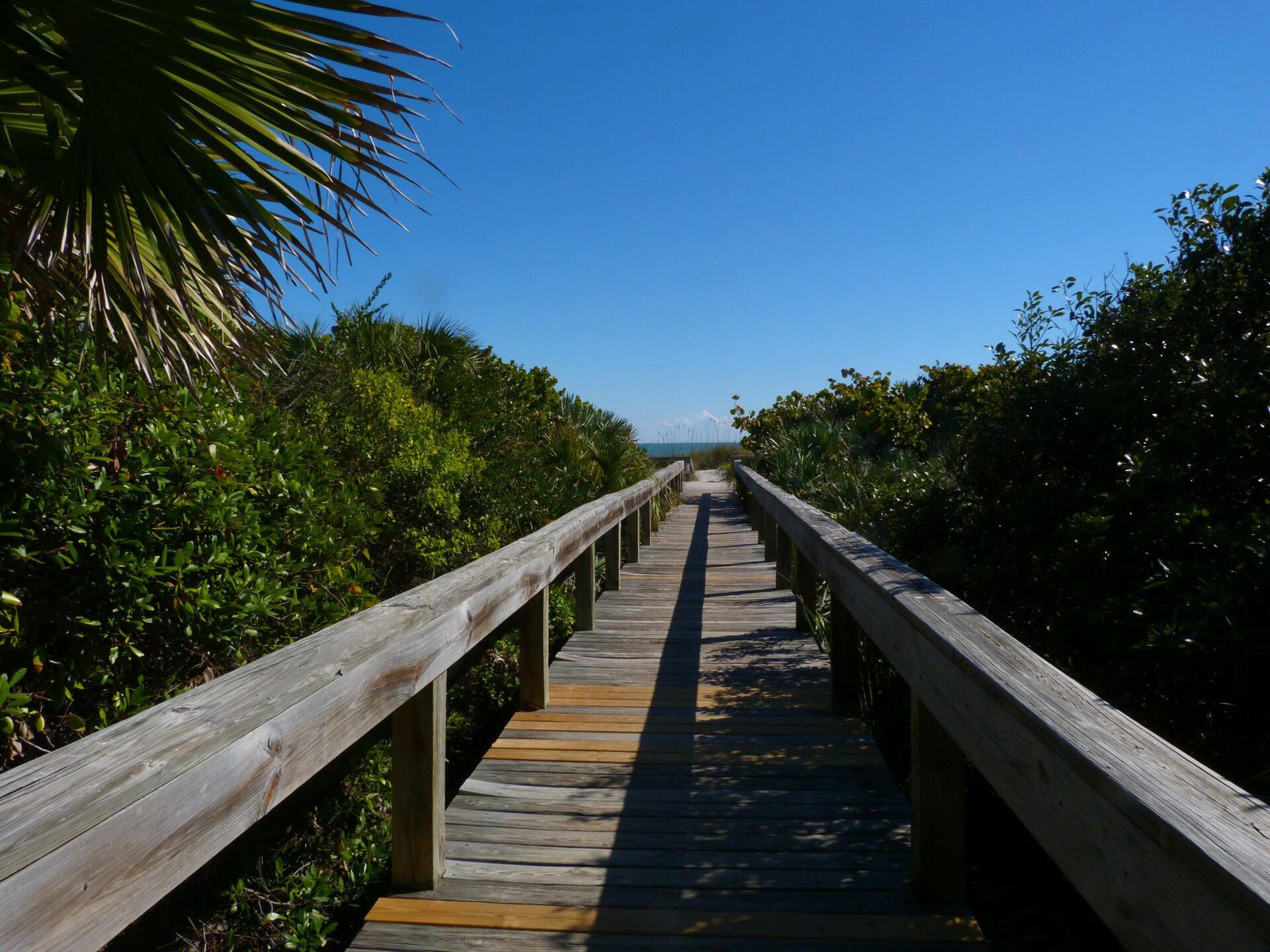 Wooden boardwalk through the maritime hammock at Lori Wilson Park, Cocoa Beach