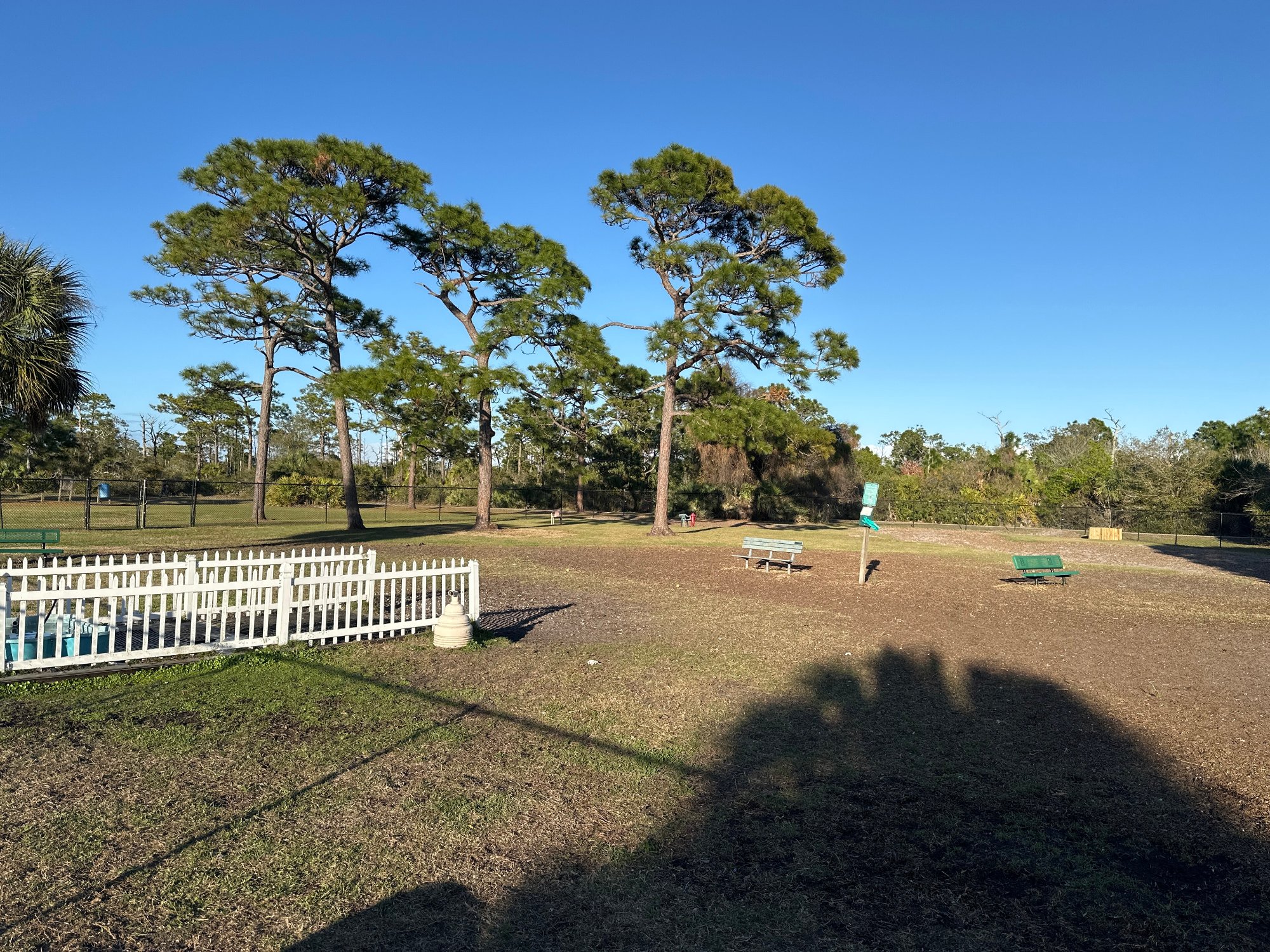 Trees and open space at Wickham Park, Melbourne
